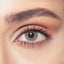 Bella Gray Beige