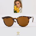 Ray-Ban RB4305