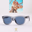 Ray-Ban Wayfarer Reverse